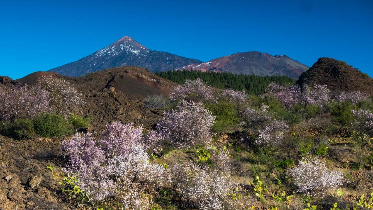 ラ・オロタバEstudio Rural - Nature & Relaxアパートメント エクステリア 写真